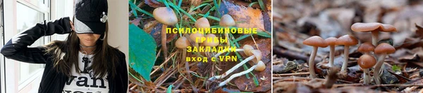 марки lsd Корсаков