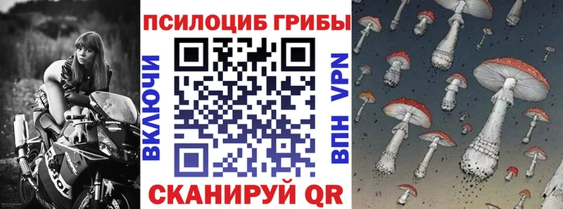 Псилоцибиновые грибы мицелий  купить наркотик  Лабинск 