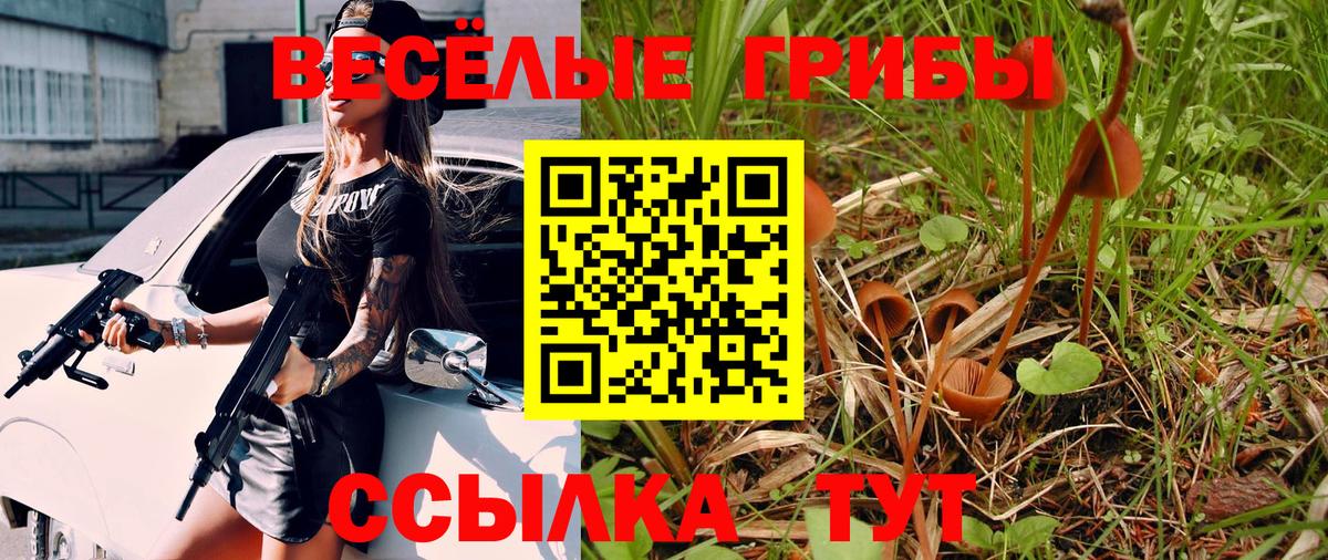 Псилоцибиновые грибы Cubensis Лабинск