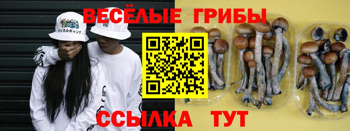 Галлюциногенные грибы Psilocybe  Псилоцибиновые грибы MAGIC MUSHROOMS  Вход с VPN  Лабинск 